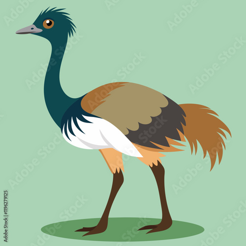 emu vector illustration