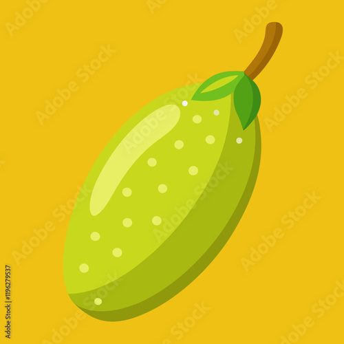 vector illustration of an finger lime