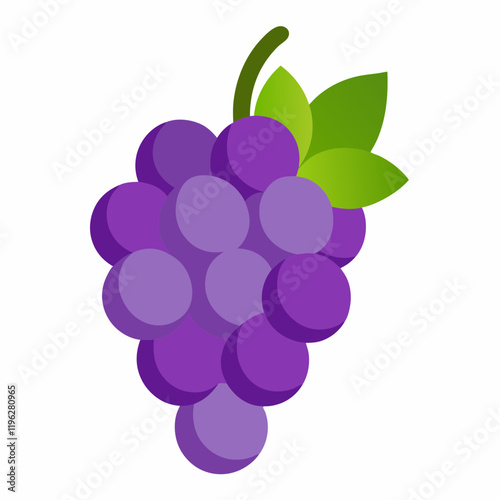 vector illustration of grapes