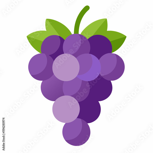 vector illustration of grapes
