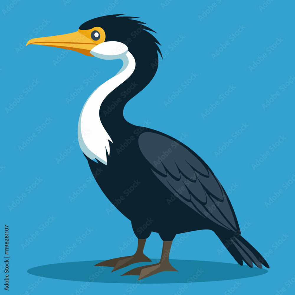 Fototapeta premium great cormorant vector illustration