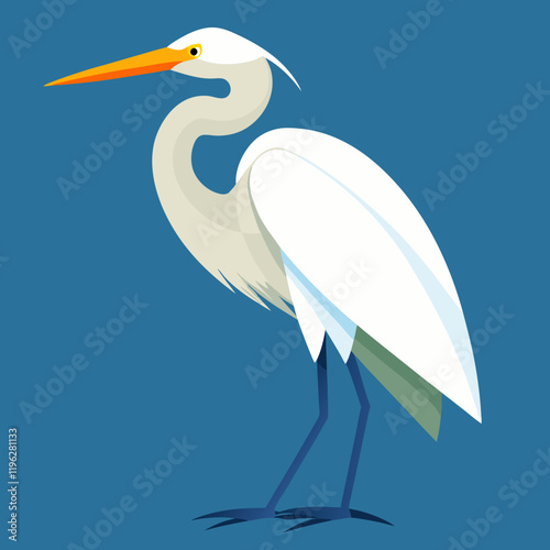 great egret vector illustration