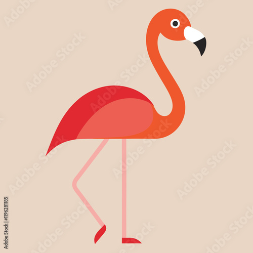 flamingo vector illustration