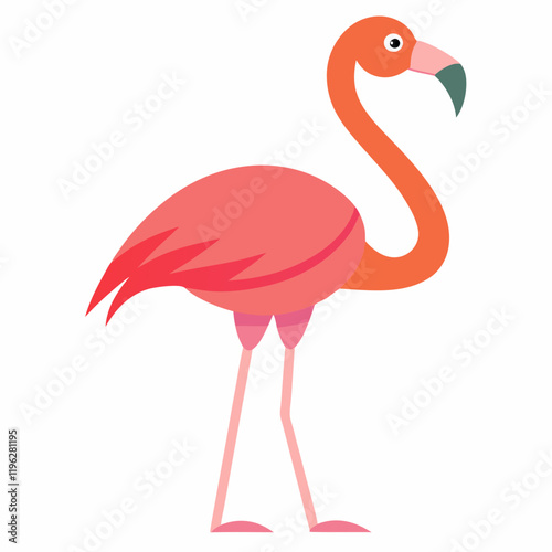 flamingo vector illustration