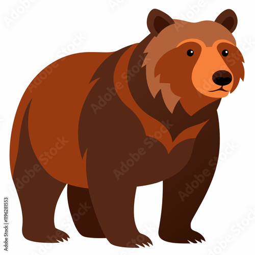 grizzly bear isolated on white