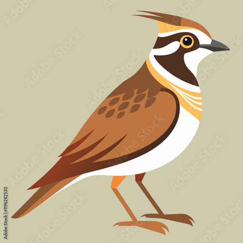 vector illustration of an horned lark
