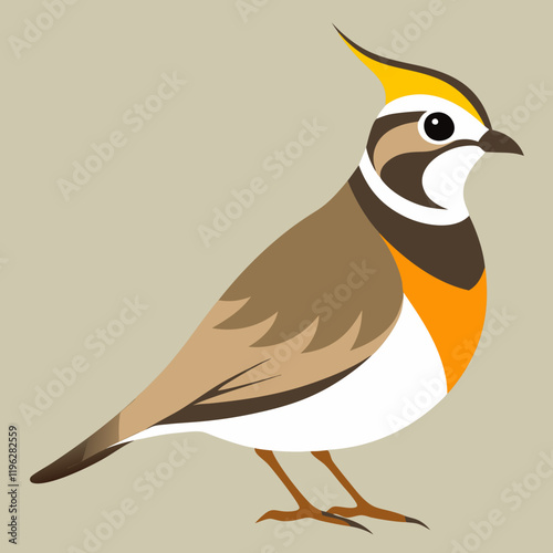 vector illustration of an horned lark