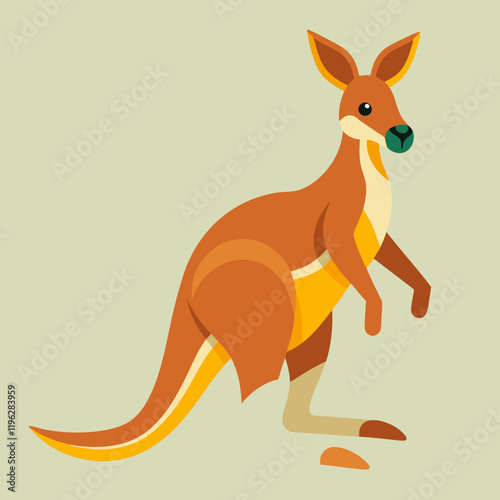 kangaroo vector illustration