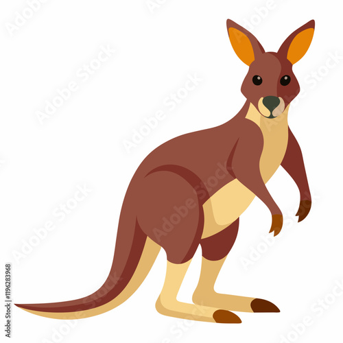 kangaroo vector illustration