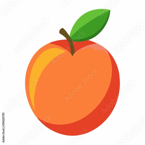 vector illustration of a nectarine