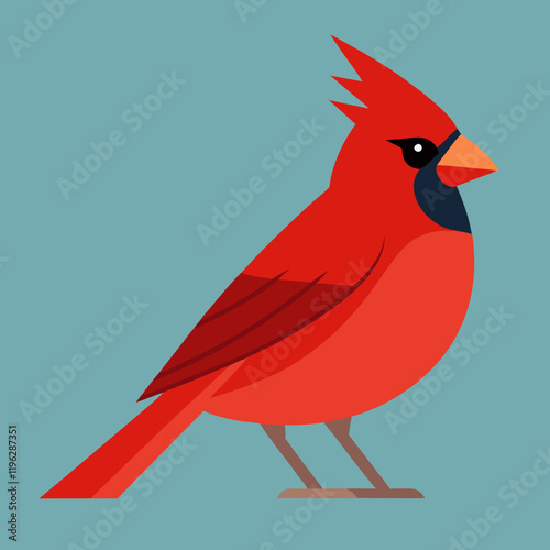 vector illustration of a red cardinal
