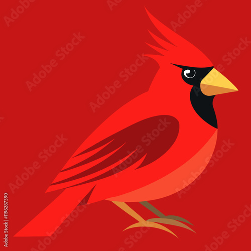 vector illustration of a northern cardinal