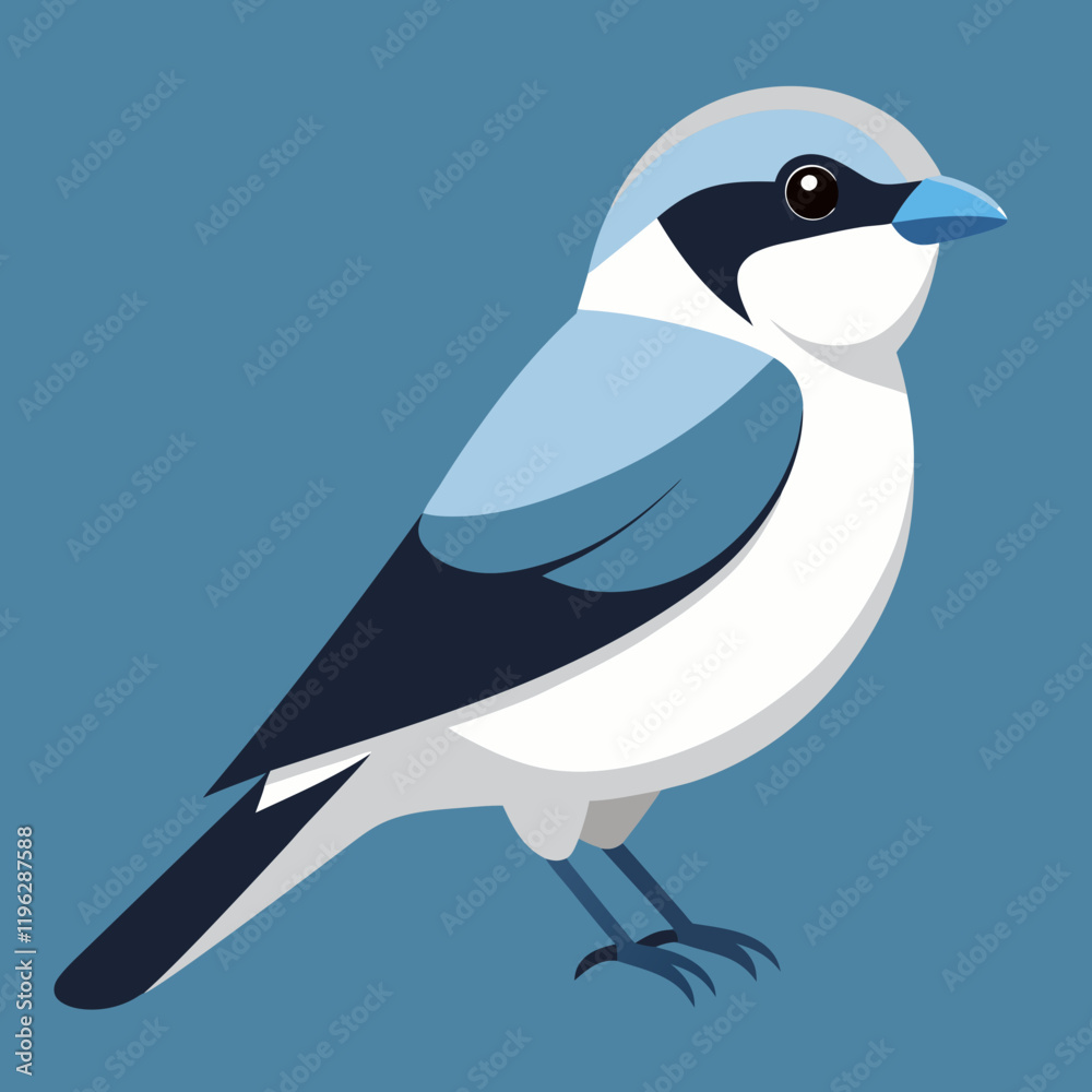 Fototapeta premium northern shrike illustration