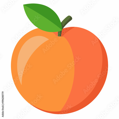 peach fruit vector illustration