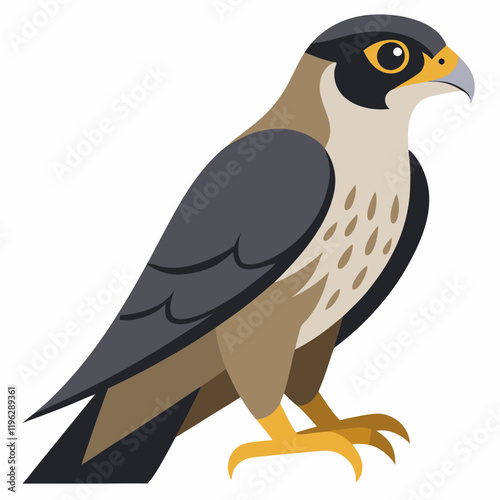 peregrine  falcon cartoon isolated on white