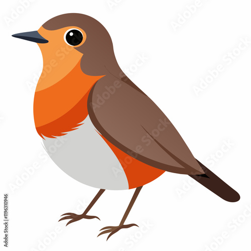 vector illustration of a  robin bird