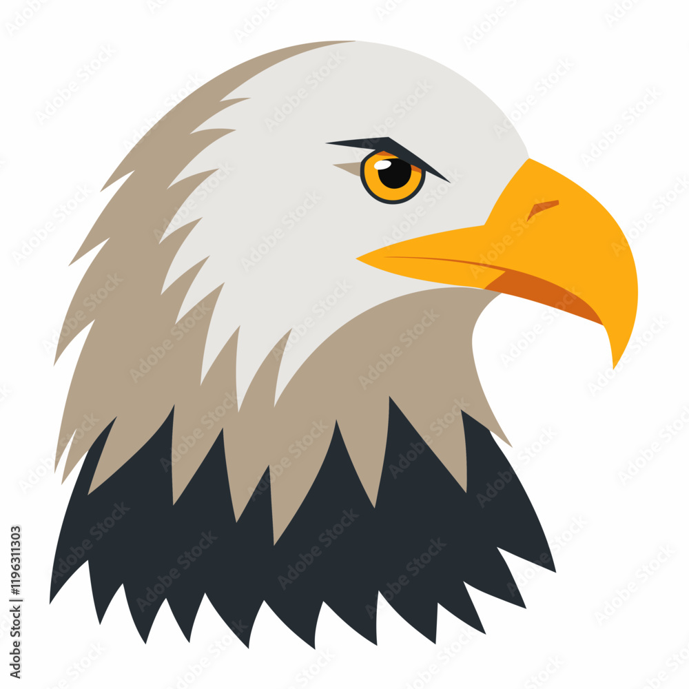 Fototapeta premium american bald eagle head