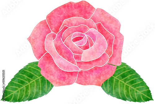 Fototapeta Naklejka Na Ścianę i Meble -  Pink rose clipart transparent background PNG