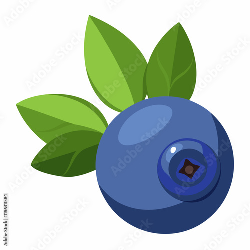 vector illustration of bilberry