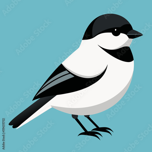 black  capped chickadee vector illustration