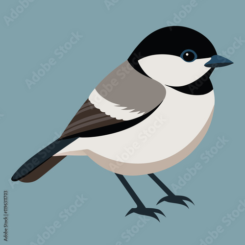 black  capped chickadee vector illustration