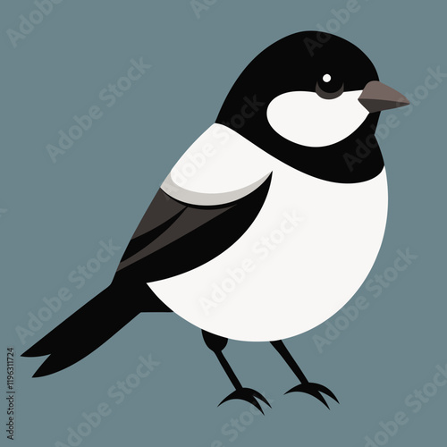 black  capped chickadee vector illustration