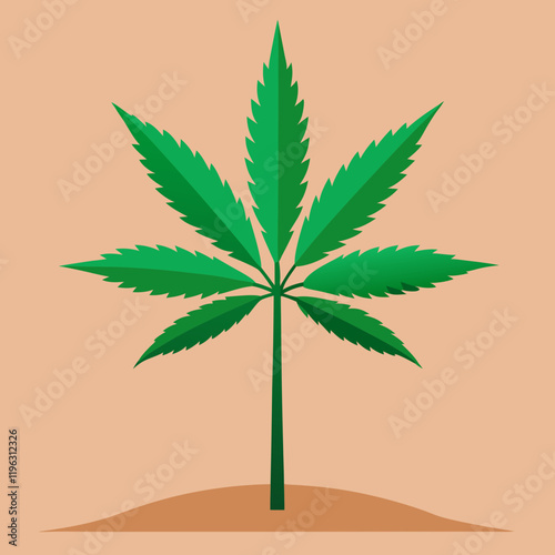 canna leaf vector illustration