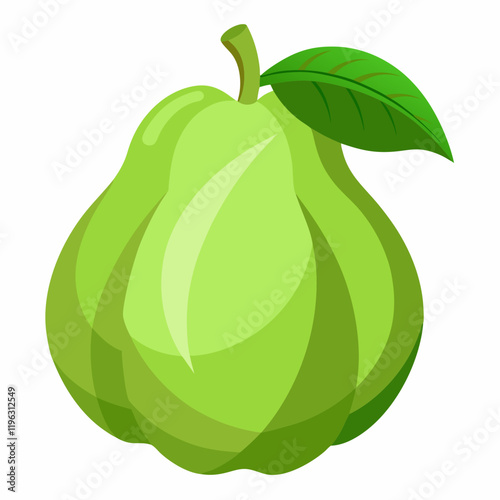 vector illustration of an chayote