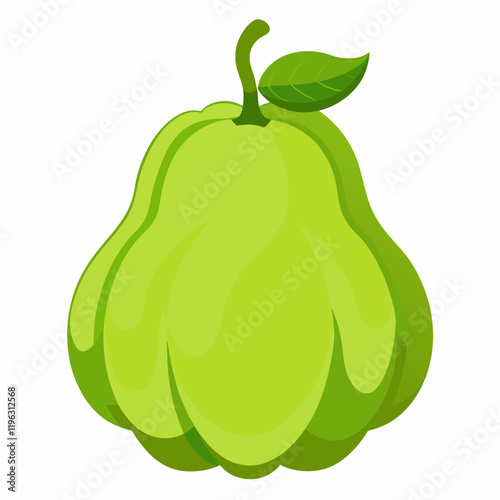 vector illustration of an chayote