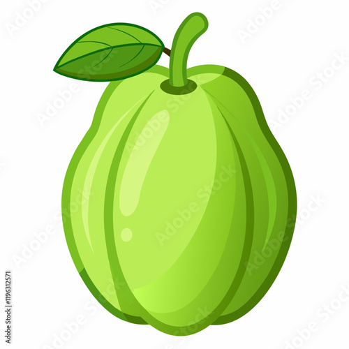 vector illustration of an chayote