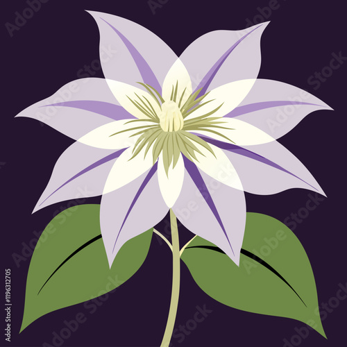 vector illustration of clematis flower