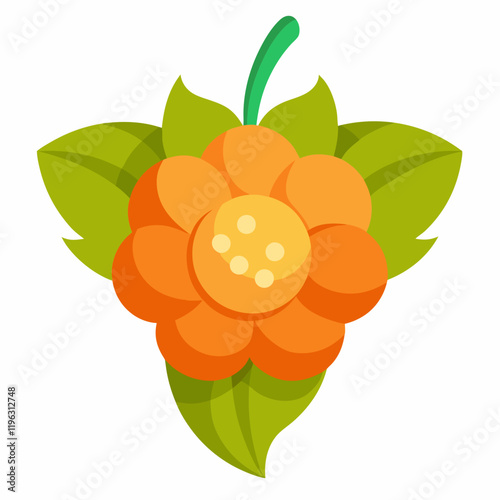 vector illustration of an cloudberry fruit