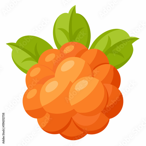 vector illustration of an cloudberry fruit