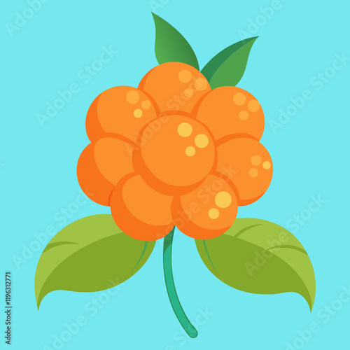 vector illustration of an cloudberry fruit