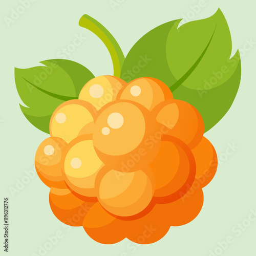 vector illustration of an cloudberry fruit