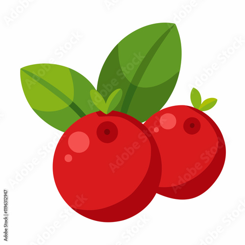 vector illustration of cranberry