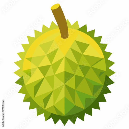 vector illustration of an durian
