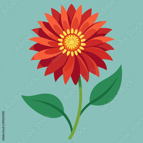 gaillardia flower isolated on white
