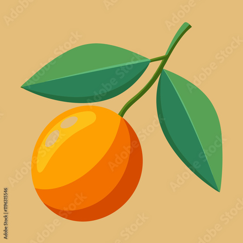 kumquat fruit vector illustration