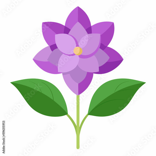 lilac flower isolated on white background