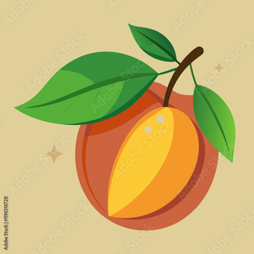 vector illustration of an miracle fruit