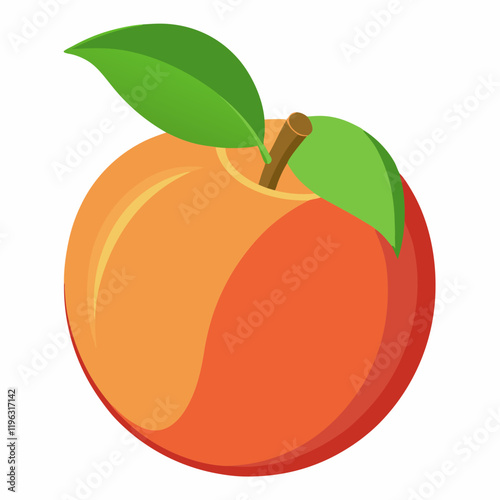 vector illustration of an nectarine