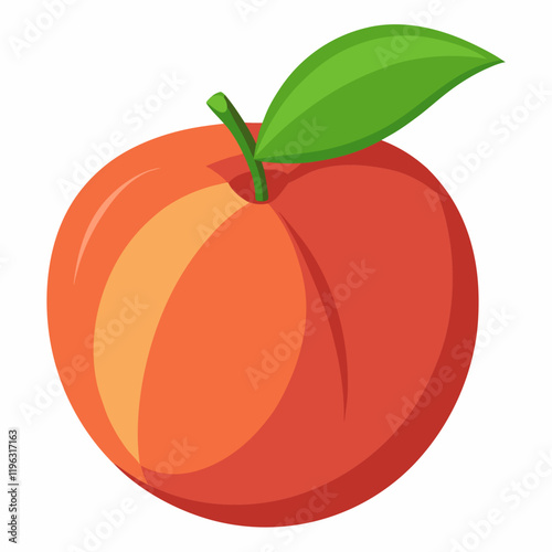 vector illustration of an nectarine