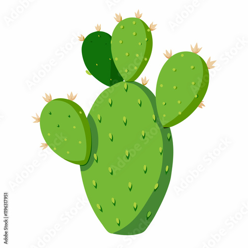 prickly  pear vector illustration