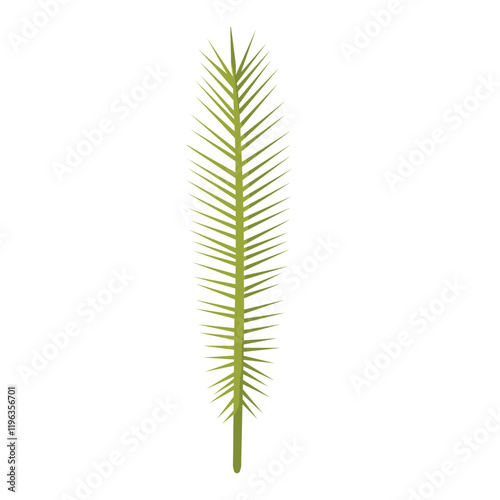 Simple green palm leaf illustration with a slender, elongated shape and detailed fronds. Perfect for tropical themes, botanical projects, and decorative designs