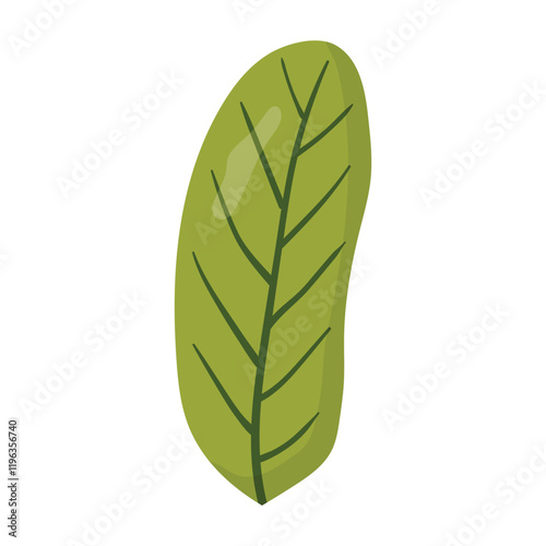 Simple green leaf illustration with smooth edges and detailed veins. Ideal for eco-friendly designs, botanical projects, and nature-inspired decorations