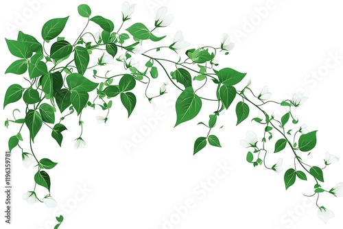 Wallpaper Mural Lush Green Vine with Delicate White Blossoms, Isolated on White Torontodigital.ca