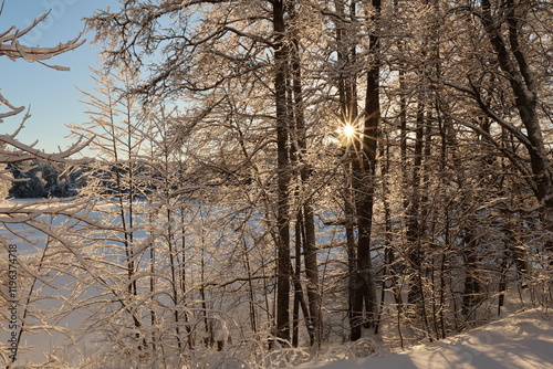 Photography Winter