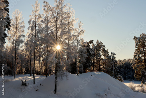 Photography Winter