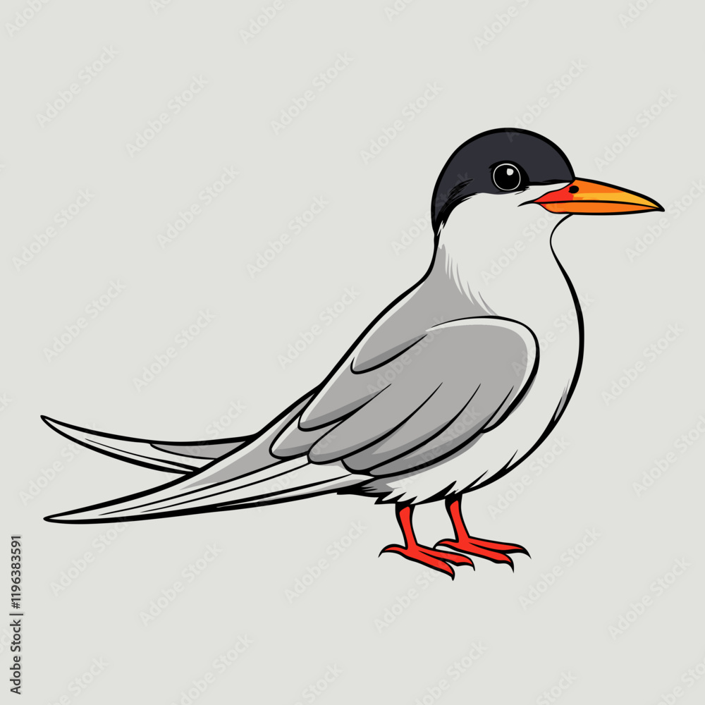 Fototapeta premium vector illustration of a common tern